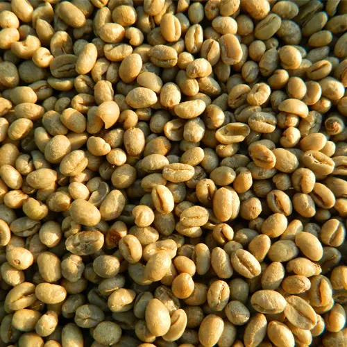 Tanzanian PB (Peaberry, specialty)