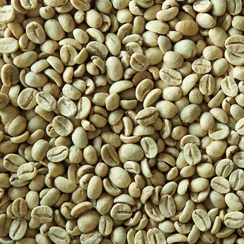 tanzania Screen 14 (A)