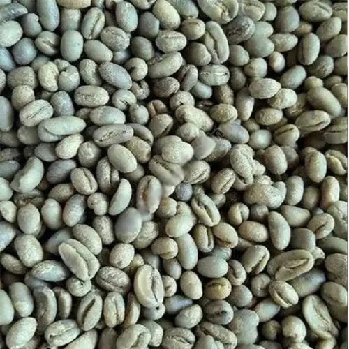 Kenya PB Single Round Beans